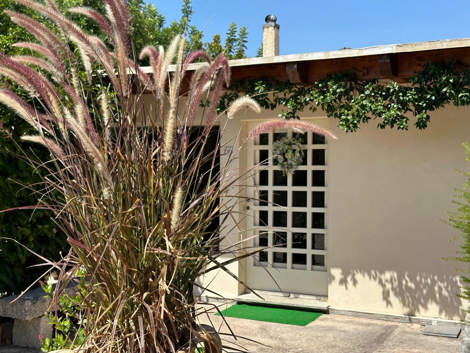 Villa Niloan 奧爾比亞 外观 照片